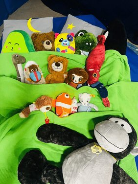 Dieses Foto zeigt einige Kuscheltiere